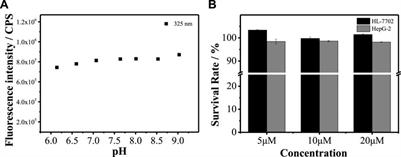 Mitochondrial-Targeted Ratiometric Fluorescent Probe to Monitor ClO− Induced by Ferroptosis in Living Cells